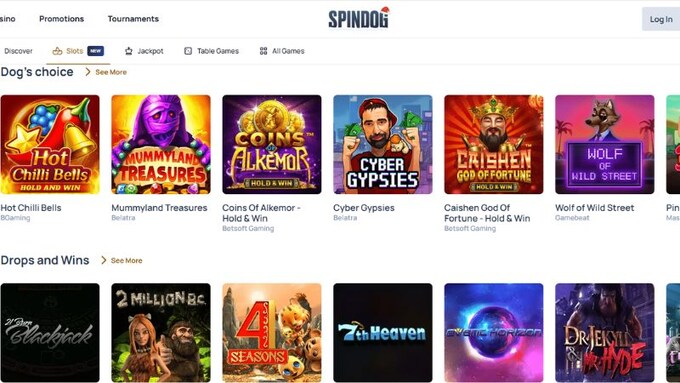 Spindog Casino Überblick